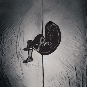 亚洲第一AV无码专区
