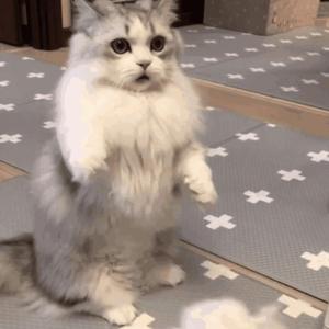 亚洲第一AV无码专区
